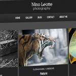 Nino Leotte - Desarrollo web